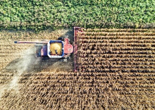 Featured Image - Agriculture & Farming